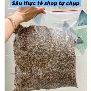1kg sâu canxi sấy phồng LOẠI ĐẸP dành cho gà đá, chim, cá, nhím sóc chuột hamster, Sâu sấy canxi cho gà