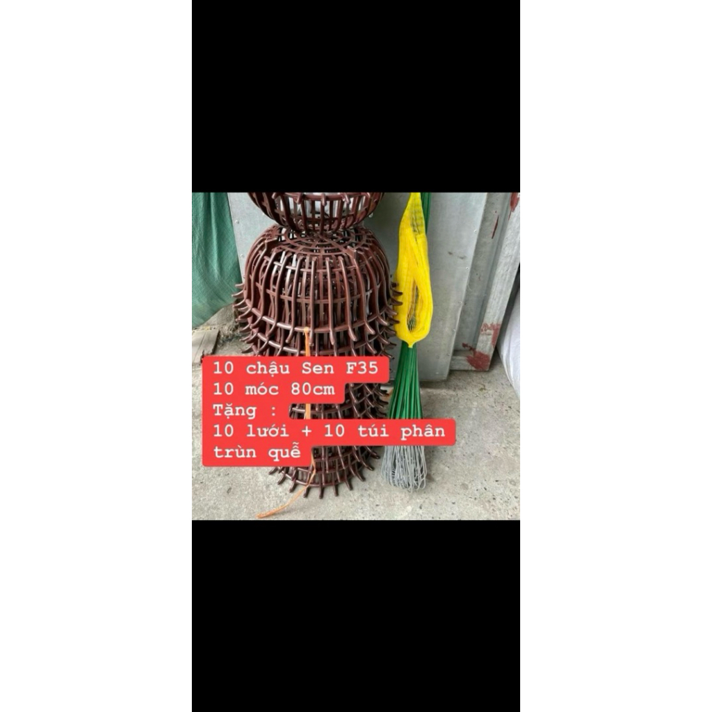 10 chậu sen f35 - 10 móc 80cm - 10 lưới lót - tặng 10 túi phân dê
