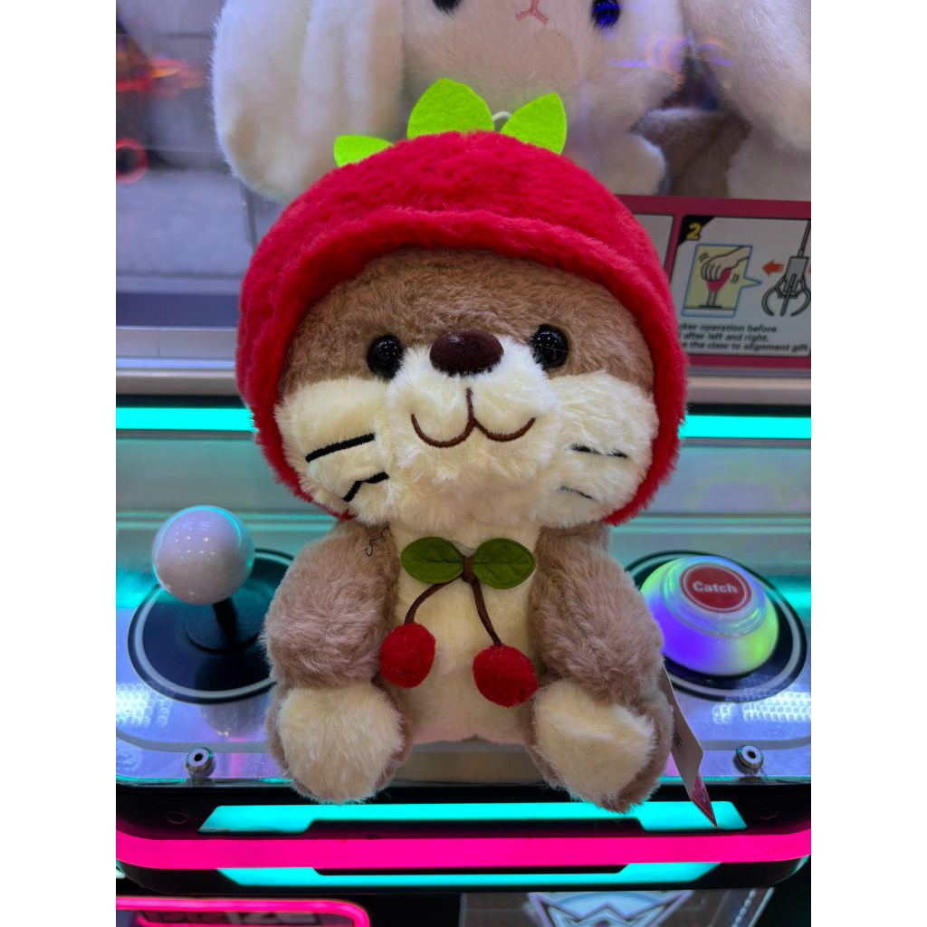 (25cm) Gấu bông chim cánh cụt/shiba