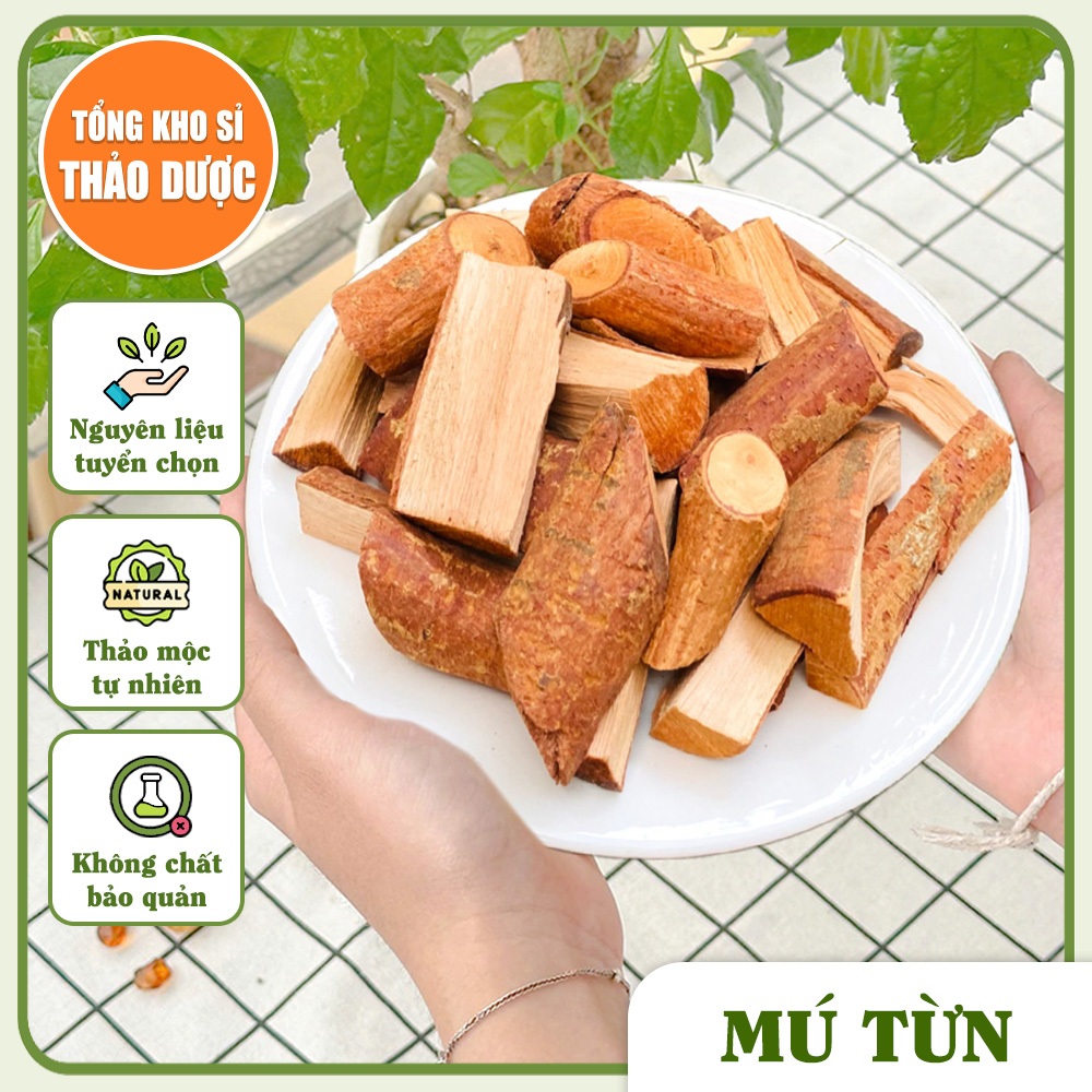 Mú từn 500g, rễ mú từn, cây mú tửn, khô, thơm, sạch - Tổng Kho Sỉ Thảo Dược