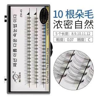 Mi Chùm Hàn Quốc Cong D, Mi Mềm Dễ Bắt Keo, Lên Mắt Cực Xinh [ Lệ Quyên ]