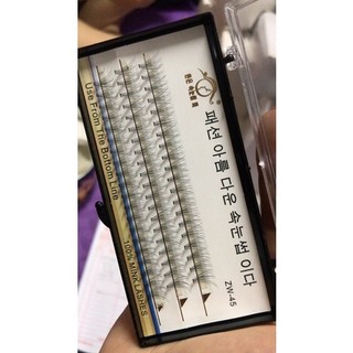 Mi Chùm Hàn Quốc Cong D, Mi Mềm Dễ Bắt Keo, Lên Mắt Cực Xinh [ Lệ Quyên ]