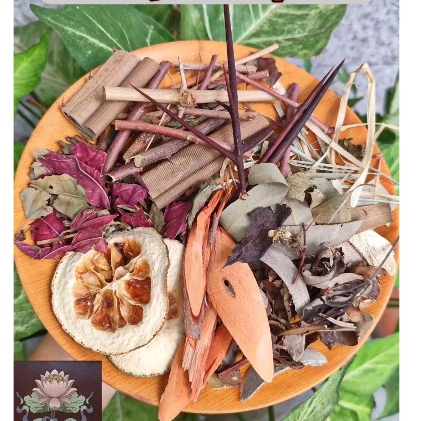 Gai tắm tẩy Ue kèm thảo mộc [ 7 gai cho nam, 9 gai cho nữ]