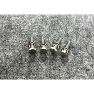 Ốc gắn sừng trâu (gù) 67 (4 con)