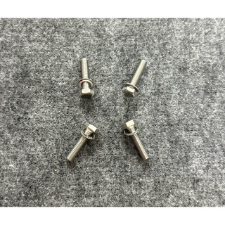 Ốc gắn sừng trâu (gù) 67 (4 con)