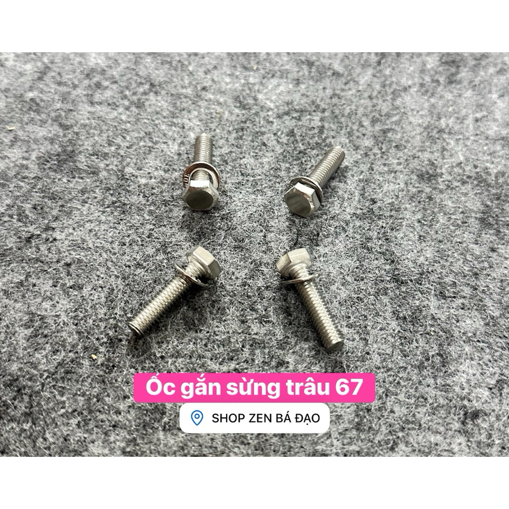 Ốc gắn sừng trâu (gù) 67 (4 con)