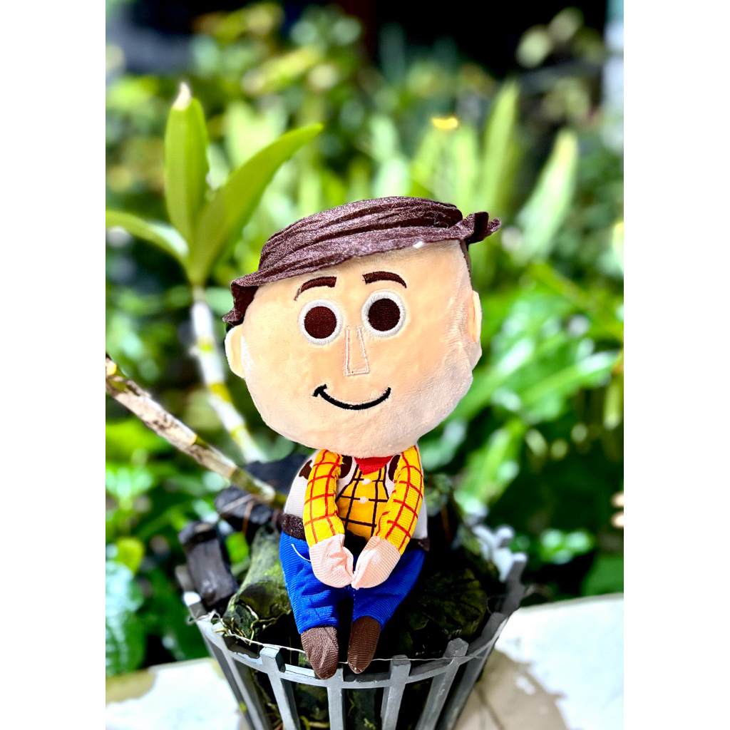 Gấu bông cao bồi woody chắp tay trong Toy story