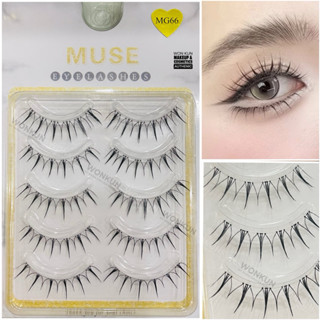  Lông mi giả Mi gân trong   MUSE MG66   5 cặp kiểu dáng   MG66 MUSE   