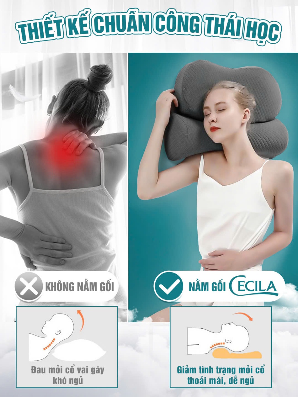 Gối công thái học chống đau mỏi vai gáy Cecila