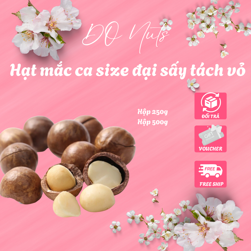 Hạt Macca nứt vỏ size lớn tốt cho sức khỏe - Macca 500g kèm đồ tách vỏ