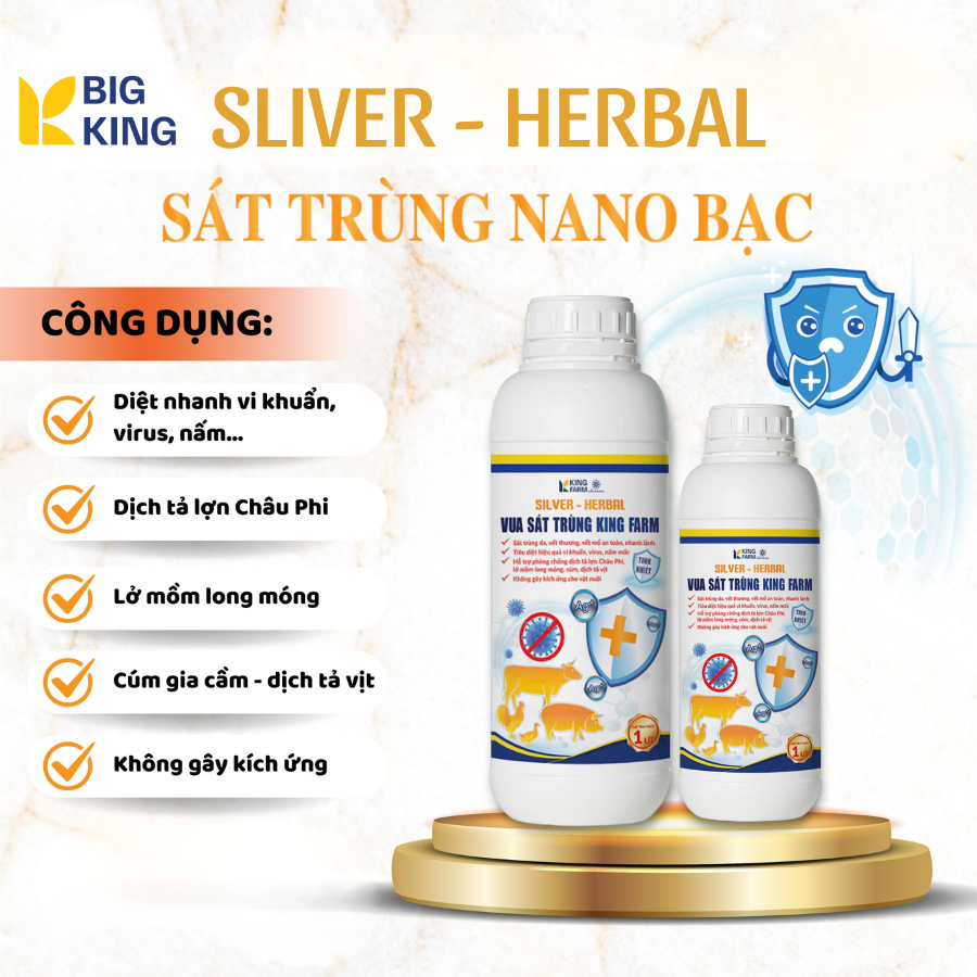 BigKing Sát Trùng Nano Bạc Diệt nhanh vi khuẩn, nấm Dịch tả lợn Châu Phi Lở Mồm Long  Cúm Gia Cầm - 