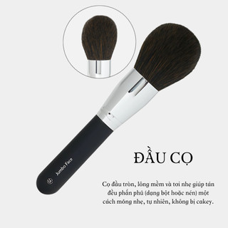 Cọ Phủ Phấn BH COSMETICS Jumbo Face Brush