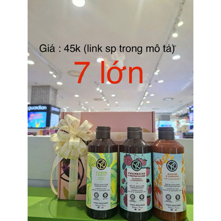Túi giấy Yves Rocher (xem kích thước trong mô tả)
