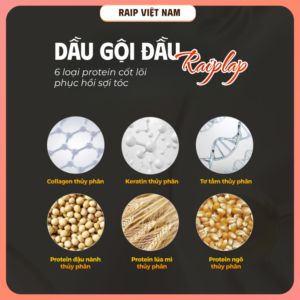 Dầu gội đầu RAIPLAP Repair Shampoo chứa 6 protein phục hồi sợi tóc hư tổn và làm sạch dịu nhẹ | BigBuy360 - bigbuy360.vn