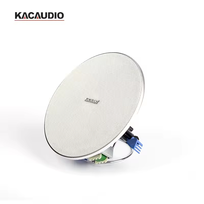 Loa âm trần cao cấp cho nhà hàng, spa. Loa âm trần đồng trục cao cấp