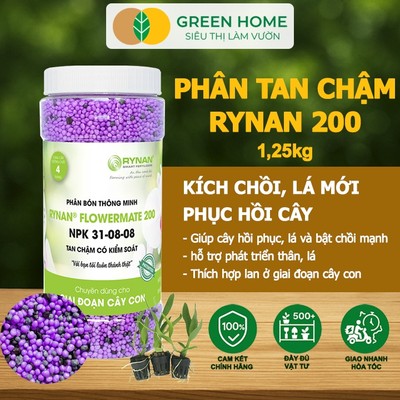 Phân Tan Chậm GreenHome, Rynan 200, Hũ 1,25kg, Dành Cho PHONG LAN CON, Bonsai Kích Chồi, Dưỡng Chất