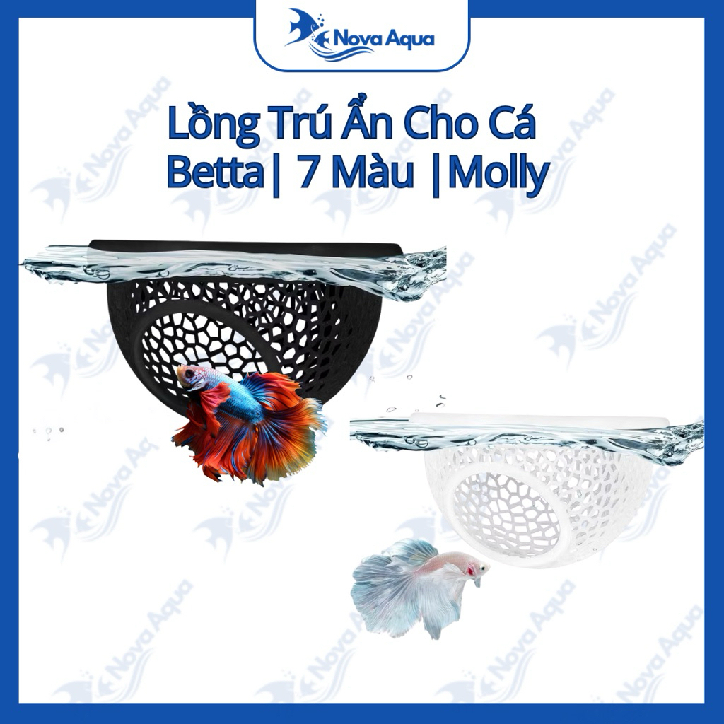 Lồng Trú Ẩn Cho Cá Betta, Cá Molly, Cá 7 Màu, Cá Cảnh Thuỷ Sinh | Nova Aqua