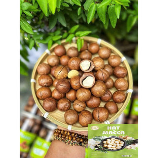 Hạt Macca Sấy Đắk Lắk Size Trung Hộp 500g Kèm Dụng Cụ Tách