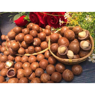 Hạt Macca Sấy Đắk Lắk Size Trung Hộp 500g Kèm Dụng Cụ Tách