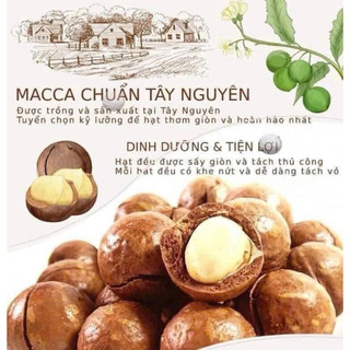 Hạt Macca Sấy Đắk Lắk Size Trung Hộp 500g Kèm Dụng Cụ Tách