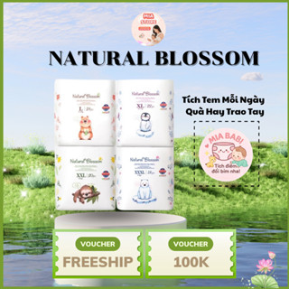  COMBO 4 Tã Bỉm Natural Blossom nội địa Hàn cao cấp 