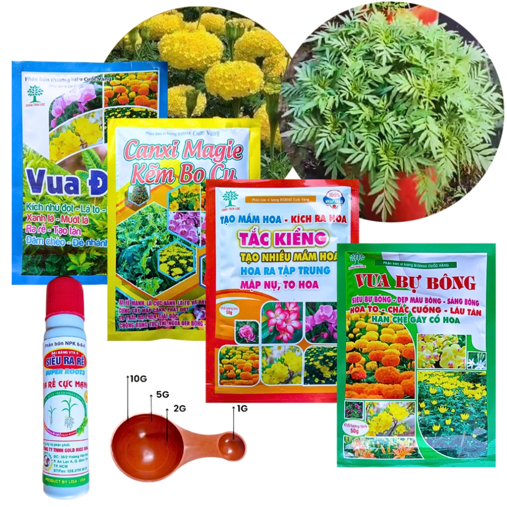 [Cb5-11] Sản phẩm chuyên hoa vạn thọ & cây cảnh Tết (50g) – Vua Đọt, Canxi Magie Bo Cu, Root3, Tắc K