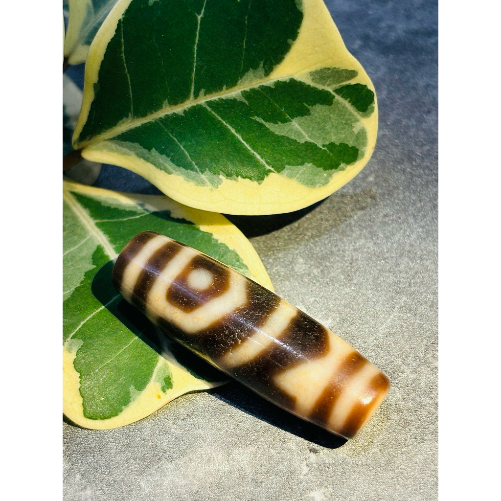 DZI 2 MẮT SONG NGƯ motif ít gặp, cao dầu