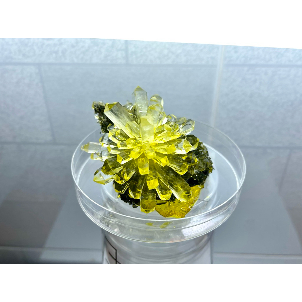 (TINH THỂ NUÔI SẴN) Hoa KDP Cấy đá