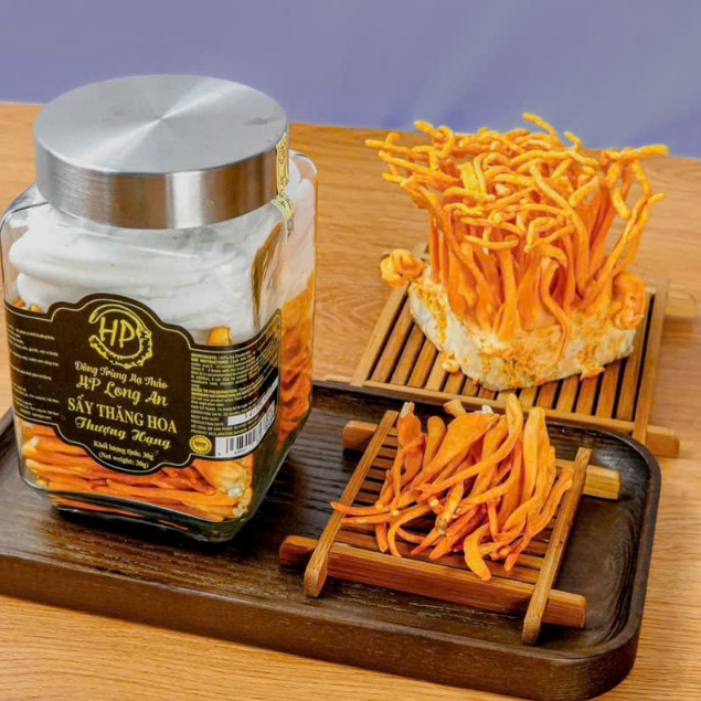 Đông Trùng Hạ Thảo Sấy Thăng Hoa 30g Loại 1 – Hữu Cơ, Hàng Xưởng HP Long An, Sợi Dài – Nguyên Chất