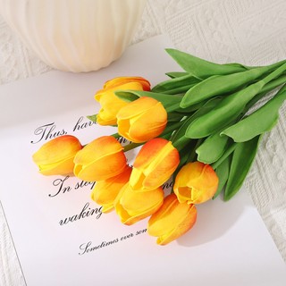 Hoa Tulip Nhiều Màu Trang Trí Nhà, Phụ Kiện Chụp Ảnh