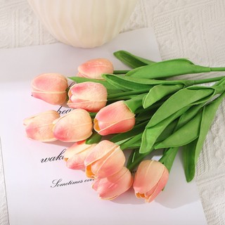 Hoa Tulip Nhiều Màu Trang Trí Nhà, Phụ Kiện Chụp Ảnh