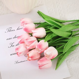 Hoa Tulip Nhiều Màu Trang Trí Nhà, Phụ Kiện Chụp Ảnh