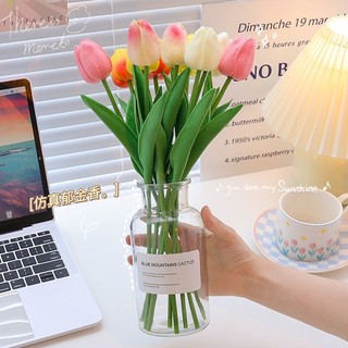 Hoa Tulip Nhiều Màu Trang Trí Nhà, Phụ Kiện Chụp Ảnh