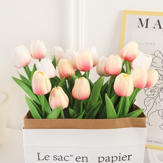 Hoa Tulip Nhiều Màu Trang Trí Nhà, Phụ Kiện Chụp Ảnh