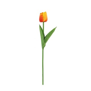 Hoa Tulip Nhiều Màu Trang Trí Nhà, Phụ Kiện Chụp Ảnh