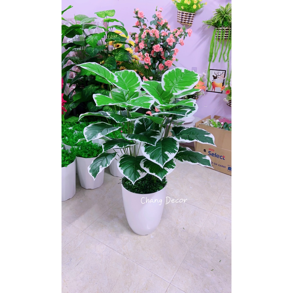 Chậu cây trầu bà nhân tạo cao 1m (36 lá) phù hợp decor trang trí nhà cửa, văn phòng, showroom