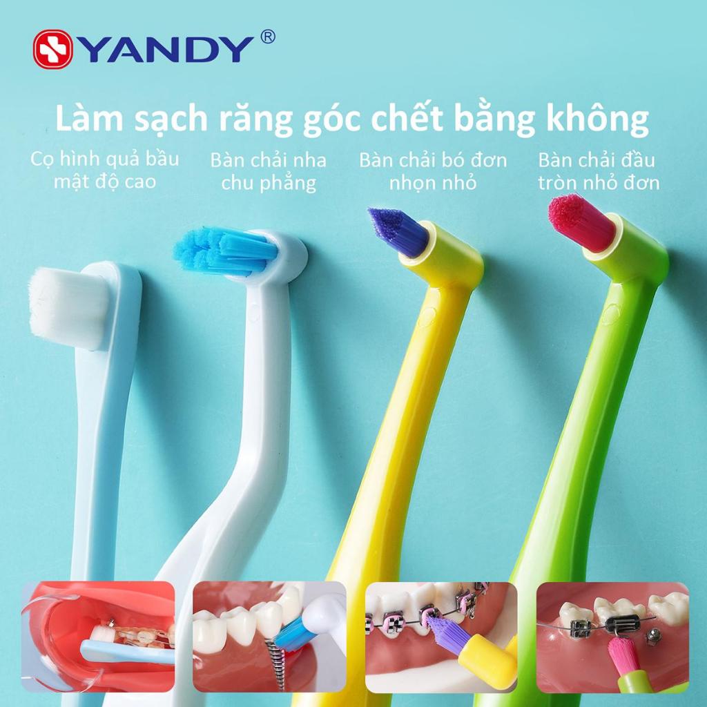 Bàn chải đánh răng một đầu YANDY được thiết kế đặc biệt để làm sạch những vùng khó tiếp cận trong miệng.