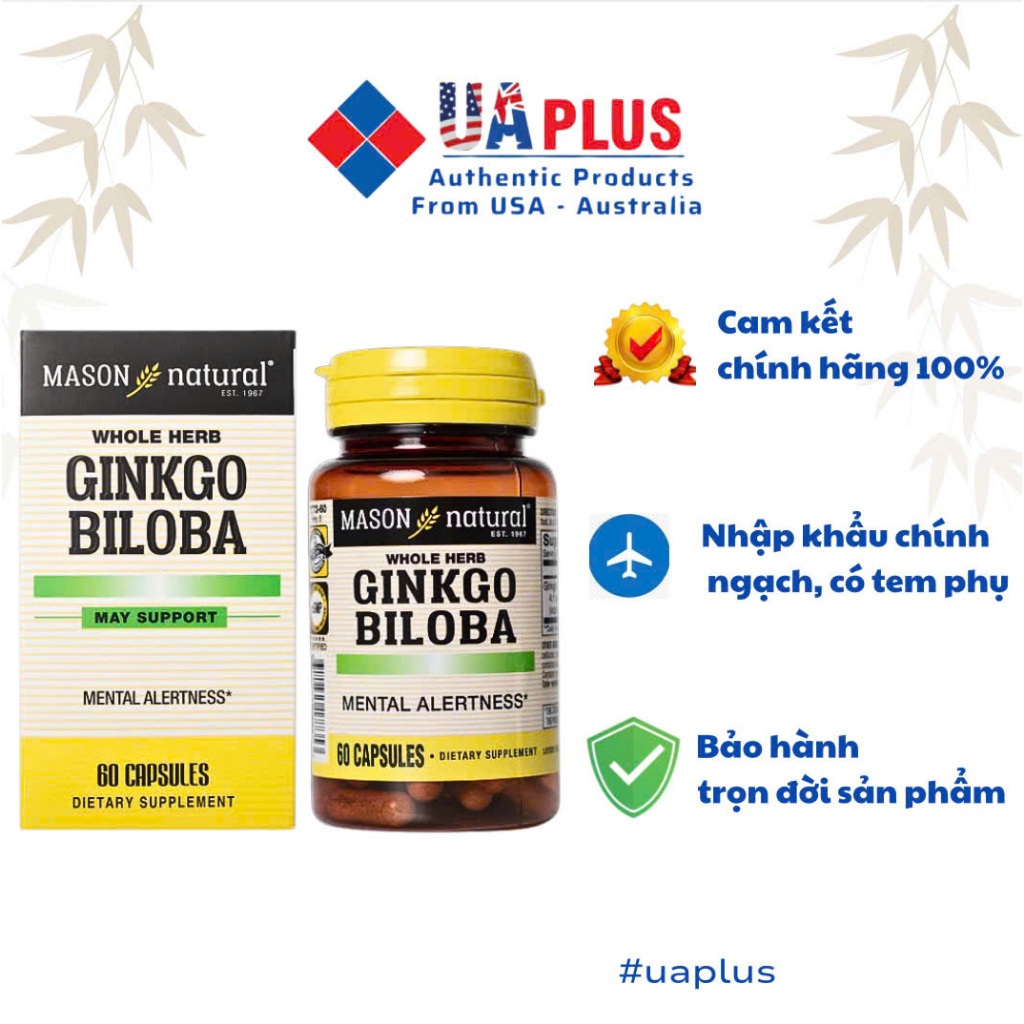[Nhập khẩu chính ngạch] Mason Natural Ginkgo Biloba - Viên uống bổ não (60 viên)
