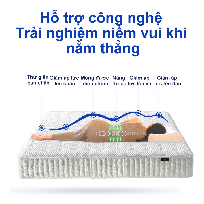 REX Nệm Nệm Lò Xo Nệm Lò Xo topper cao cấp mềm mại êm ái cao có chun bo góc đủ ệm dày dặn Chất liệu Cotton (Cao 16cm ) | BigBuy360 - bigbuy360.vn