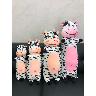 Bò sữa gối ôm, bò sữa có mền