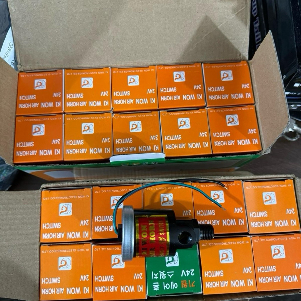 rơle kiwon (12v và 24v)