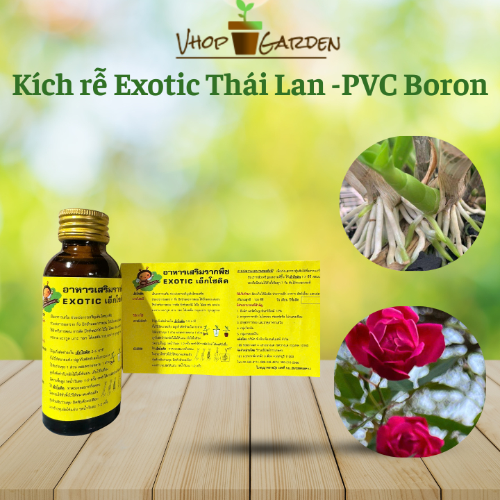 Kích rễ Exotic Thái Lan PVC Boron VUA RA RỄ giúp cây ra rễ nhanh, nhiều rễ dành cho hoa lan cây cảnh
