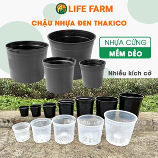  Chậu nhựa đen THAKICO tròn cứng siêu bền chuyên ươm cây kiểng lá nhiều size chọn lựa 