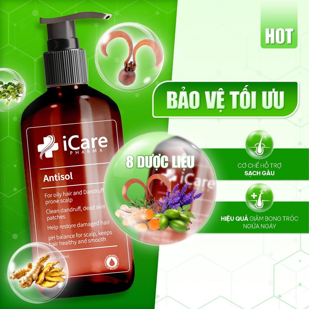 Dầu Gội Ngăn Gàu Hiệu Quả, iCare Pharma | Dầu Gội Antisol Làm Sạch Da Dầu, Gàu, Nấm Ngứa