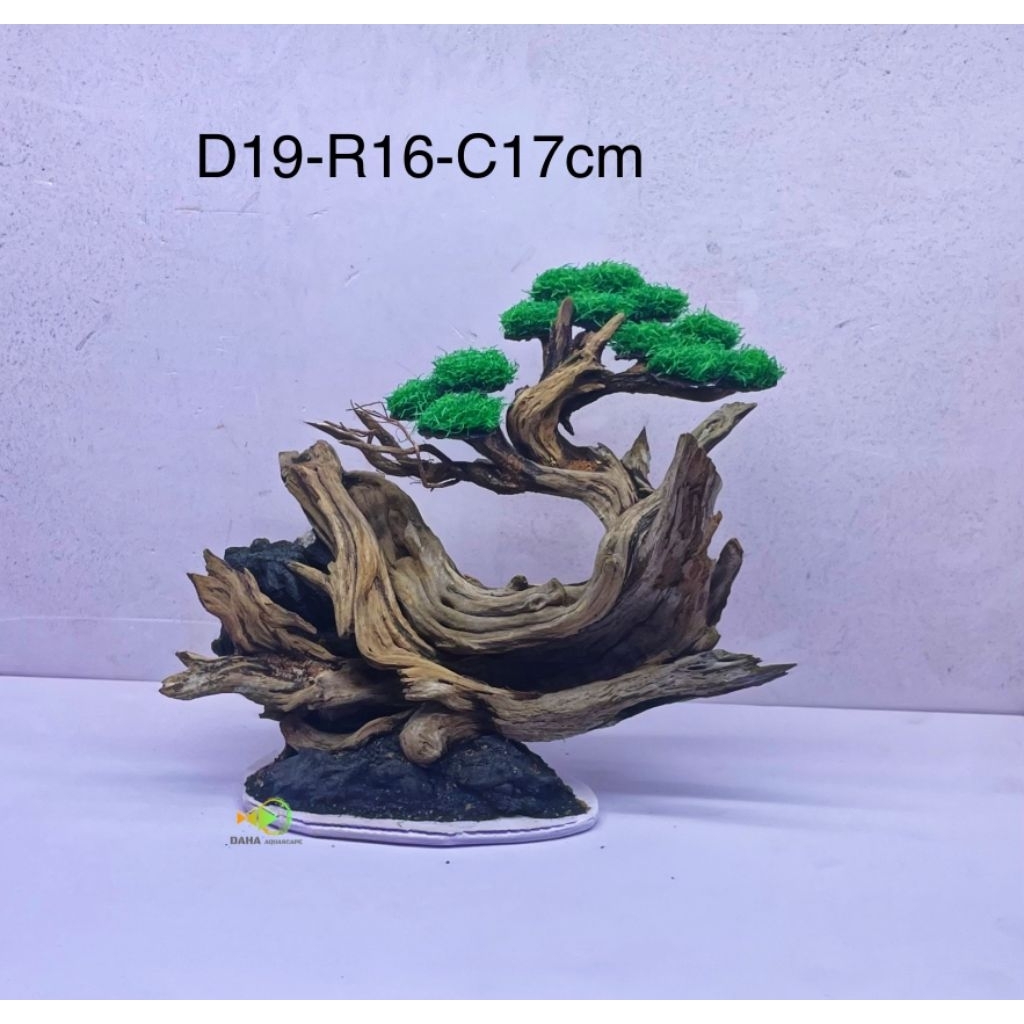 Bonsai mini, Layout bonsai thủy sinh mini, bonsai mini tán rêu giả, layout hồ cá