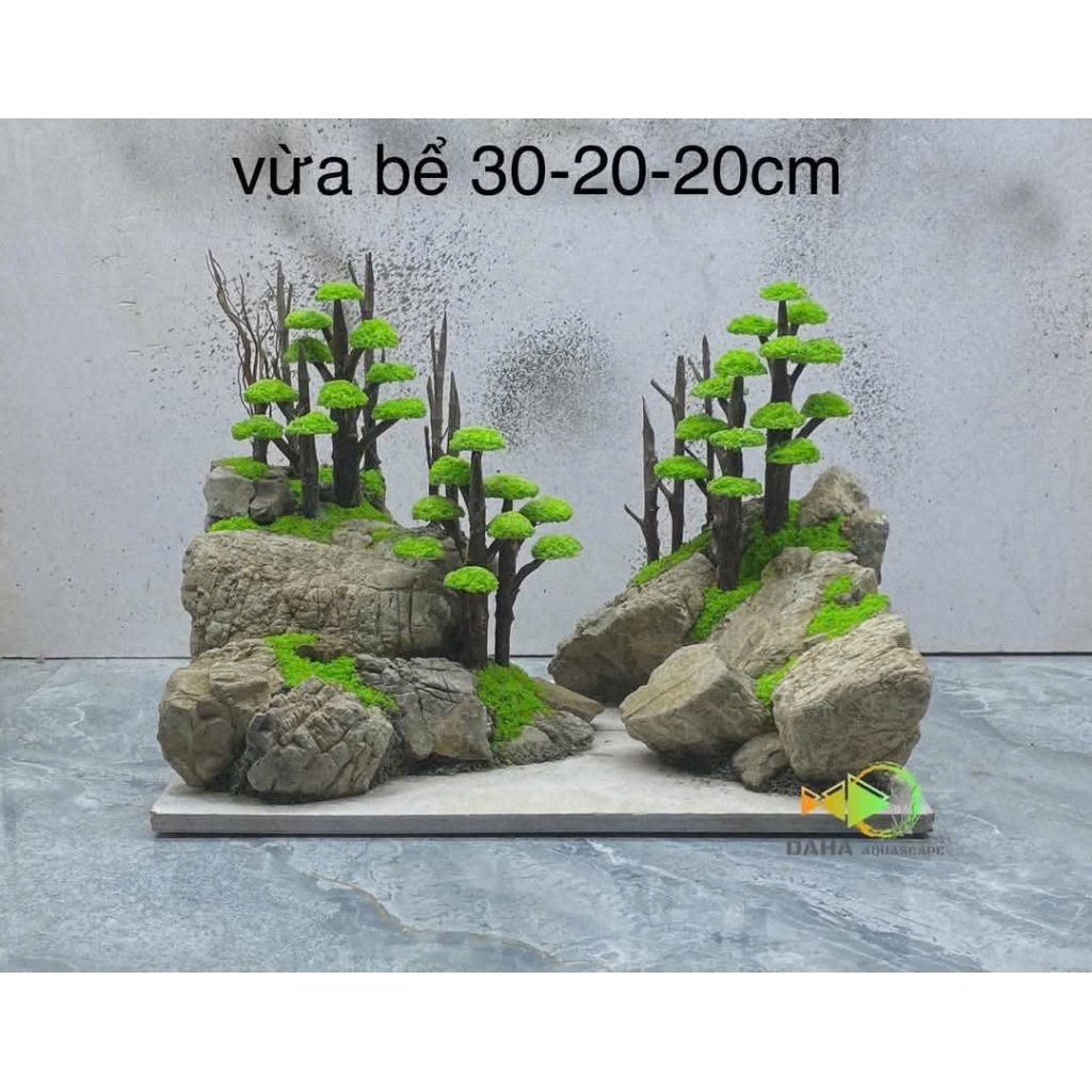 Layout rừng mini, layout cho hồ 30-20-20cm, bố cục hồ cá, layout thủy sinh