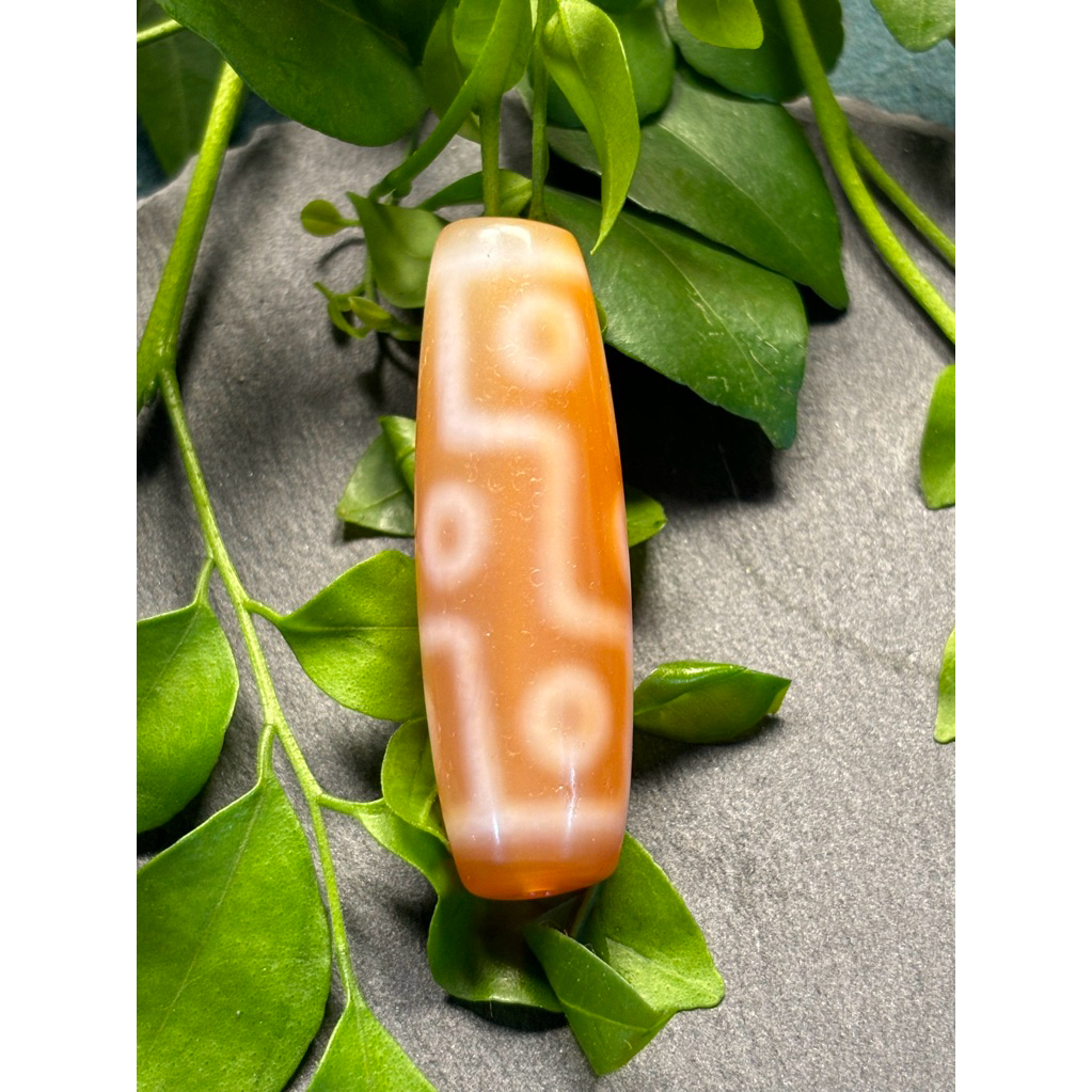 DZI 9 MẮT chủng bơ