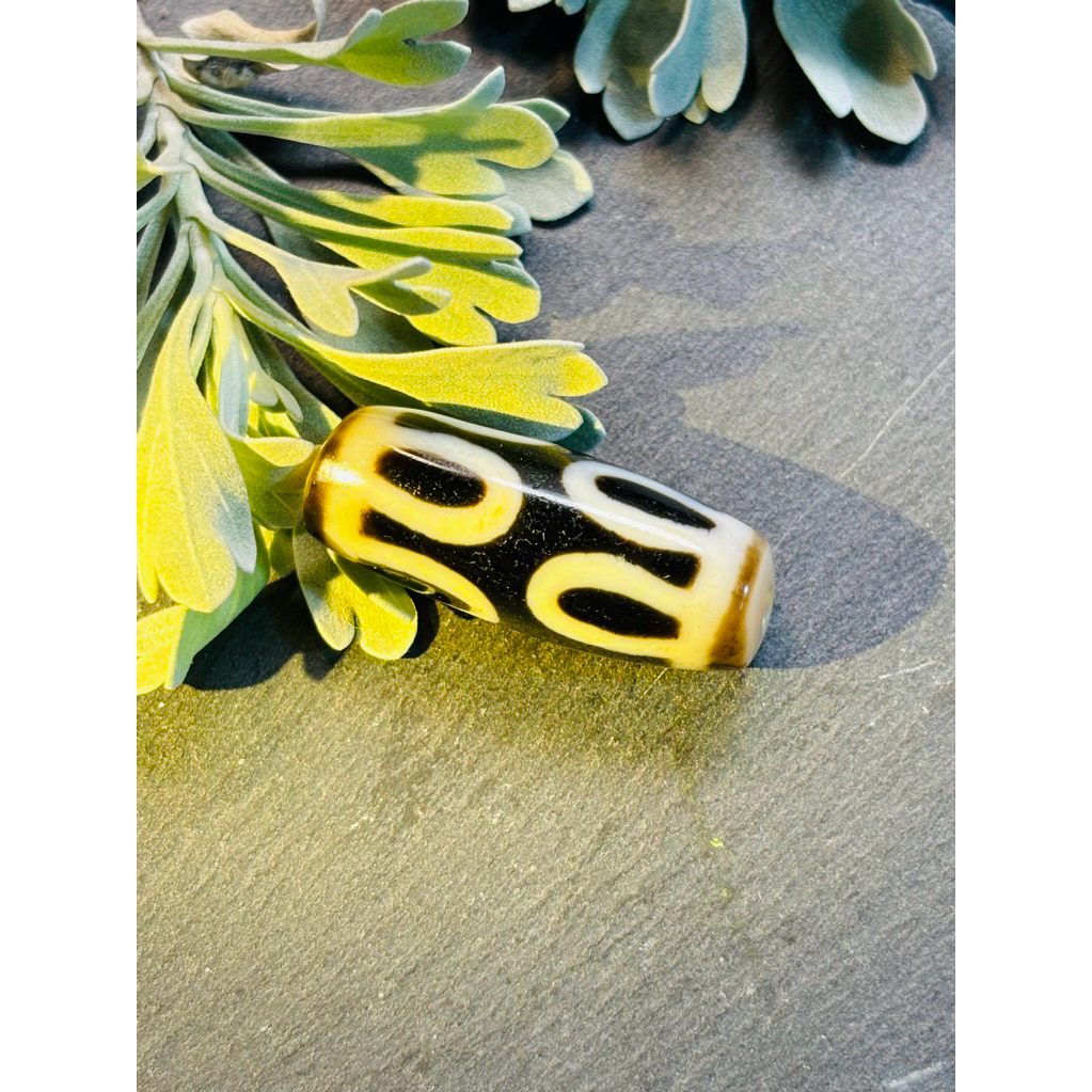 DZI 8 MẮT CÁNH SEN, motif ít gặp