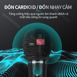 Micro Karaoke RAYHAYES RD-118 Micro Karaoke Dynamic Micro Có Dây