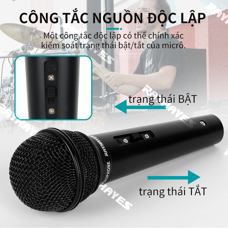 Micro Karaoke RAYHAYES RD-118 Micro Karaoke Dynamic Micro Có Dây